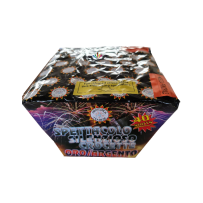 SPETTACOLO SILENZIOSO CROCETTE ORO/ARGENTO 40 COLP