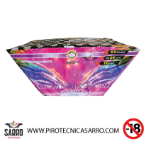 MALVA 49 COLPI TEANESE