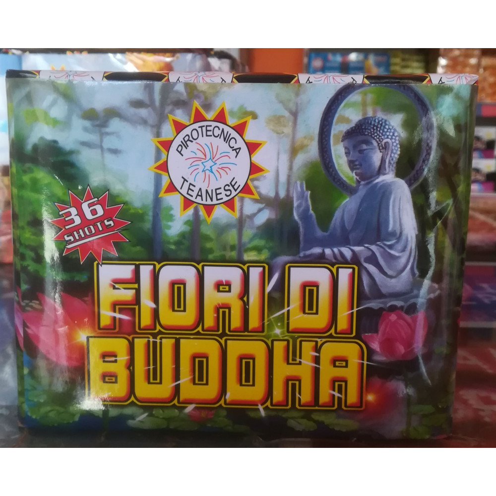 fiori di budda 36 colpi teanese